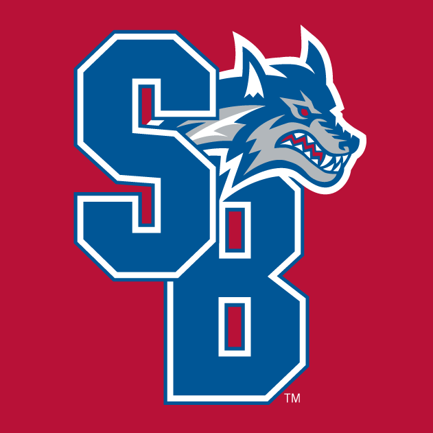 Stony Brook Seawolves 2008-Pres Alternate Logo v4 iron on transfers for clothing